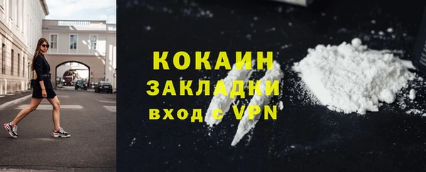 гашик Алексин