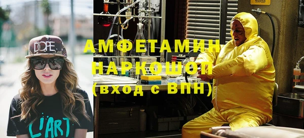 гашик Алексин