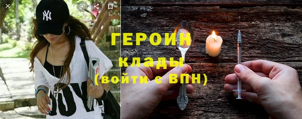 гашик Алексин