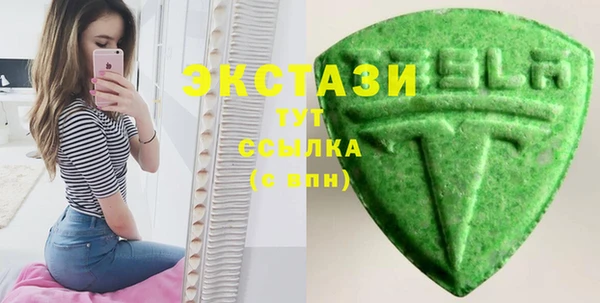 гашик Алексин