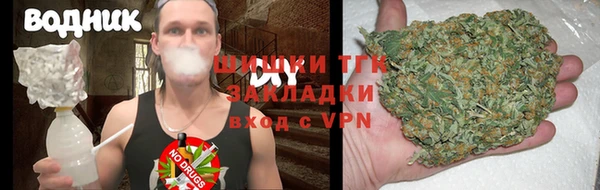 гашик Алексин