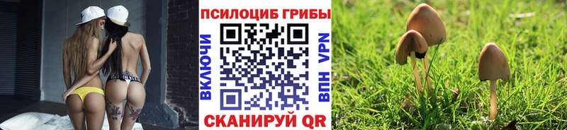 Галлюциногенные грибы Magic Shrooms Жуков